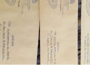 Polsek Sapeken Terkesan Membiarkan Terduga Pelaku Pencuri Kayu Milik Perhutani