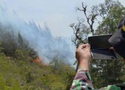 Puluhan Hektar Lahan di Gunung Lawu Dilanda Kebakaran