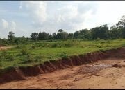 Benarkah Bupati Sumenep Utus Happy Ngawal izinTambak udang..???