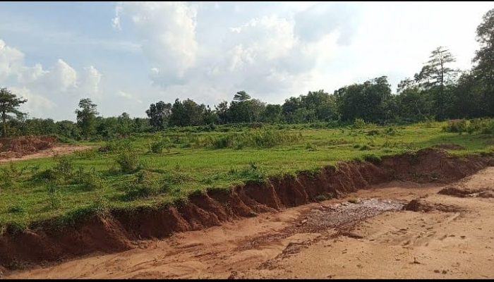 Benarkah Bupati Sumenep Utus Happy Ngawal izinTambak udang..???