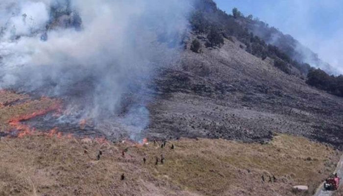 Berkas Tersangka Kebakaran Bromo Sudah Dilimpahkan ke Kejaksaan Negeri Probolinggo