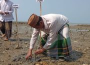 Hari Santri 2023, Warga NU Sumenep Tanam Mangrove Jaga Lingkungan