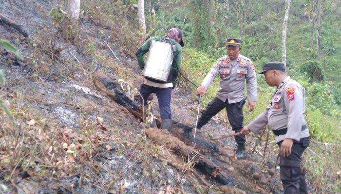 Sinergitas Polisi bersama TNI dan BPBD Padamkan Kebakaran di Perkebunan Gunung Terong Banyuwangi