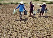 Pandeglang Banten Ditetapkan Berstatus Siaga Darurat Kekeringan