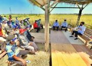 Fokus Peningkatan Produksi Pangan dan Kesejahteraan Petani