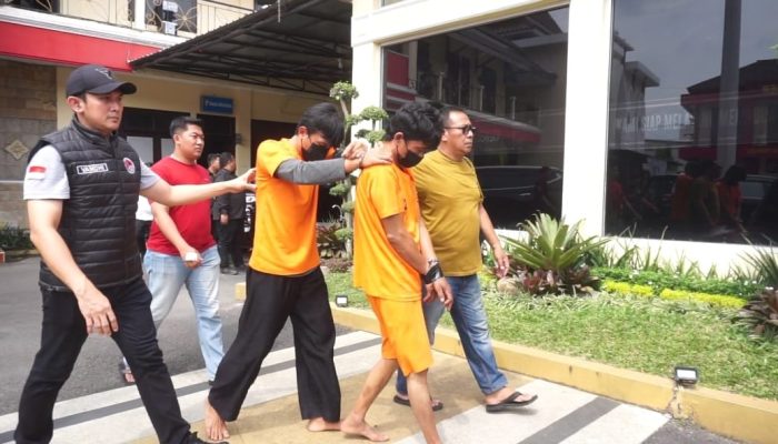 Polres Jember Berhasil Ungkap Tanaman Ganja Dirumah Warga, Bupati Berikan Apresiasi