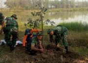 Penanaman Bibit Pohon, Mencegah Terjadinya Banjir