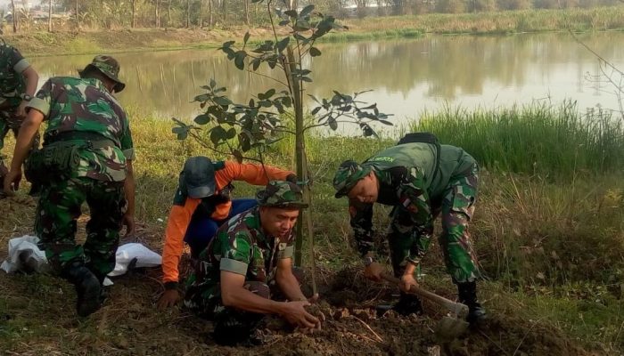 Penanaman Bibit Pohon, Mencegah Terjadinya Banjir
