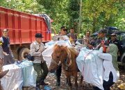 Distribusi Logistik Pemilu di Jember Kerahkan Kuda