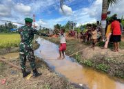 Pesona Taman Wisata Sawah 125 Si’mbisa Manjakan Masyarakat Dengan Hamparan Padi Yang Indah