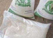 Viral, Penyaluran Bantuan Pangan Beras 10 Kg Di Kecamatan Batang Batang Diduga Disunat