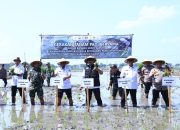 Gerakan Tanam Padi Bersama Lintas Sektor Di Kabupaten Ngawi