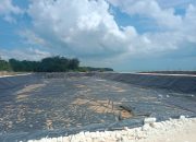 Pemerintah Tak Berkutik Eksekusi, Tambak Udang Diduga Ilegal Tetap Beroperasi