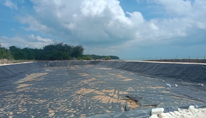 Pemerintah Tak Berkutik Eksekusi, Tambak Udang Diduga Ilegal Tetap Beroperasi