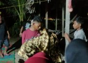 Kebakaran Rumah Kayu di Lhokseumawe, 1 Meninggal Dunia dan 2 Luka Bakar