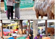Kapolda Jatim Berkurban 10 Sapi dan 17 Kambing untuk Ponpes,Ormas dan Organisasi Kemahasiswaan di Banyuwangi