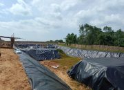 Diduga Tidak Mengantongi Izin, Ketua LHGN Desak Pemerintah Sumenep Tindak Tegas Tambak Udang Milik Investor Di Desa Campor
