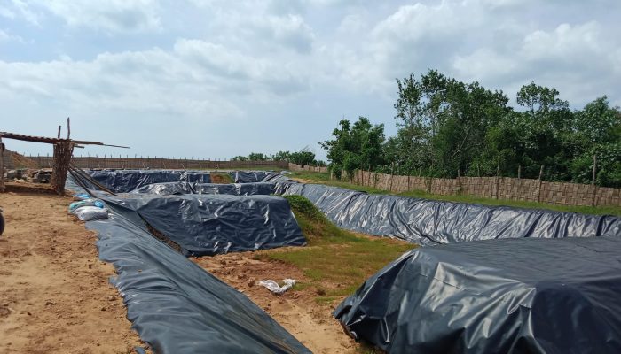 Diduga Tidak Mengantongi Izin, Ketua LHGN Desak Pemerintah Sumenep Tindak Tegas Tambak Udang Milik Investor Di Desa Campor
