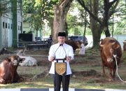 Peringati Hari Raya Idul Adha 1445 H/2024 M, Pangdam XII/Tpr Serahkan Puluhan Hewan Qurban