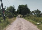 Dugaan Pungli dan Kualitas Proyek Rehabilitasi Jalan Paving di Gresik: Warga Menuntut Transparansi dan Pengawasan
