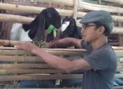 Penjualan Qurban Untuk Tahun 2024 Agak Lesu, Ini Penjelasan Supriyono Peternak Kambing Di Ngawi