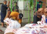 1 Kg Perkantong, Daging Qurban Di PWNU Jatim Melimpah