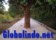 Diduga Proyek Peningkatan Jalan Lingkungan di Kec. Muaragembong -Bekasi senilai 1,9 M Lebih Tidak Dikerjakan Secara Profesional