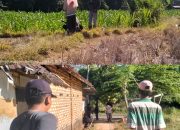 Program BPKAD Sumenep Pengukuran Tanah Di Desa Giring, Kadus Terkesan Apatis