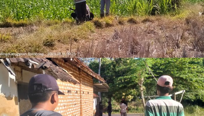 Program BPKAD Sumenep Pengukuran Tanah Di Desa Giring, Kadus Terkesan Apatis