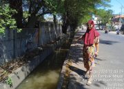 Diduga Mengakibatkan Kecelakaan Akibat Bekas Limbah Ayam, RW4 Tambak Mayor Minta Pembatas Jalan Segera Dipasang