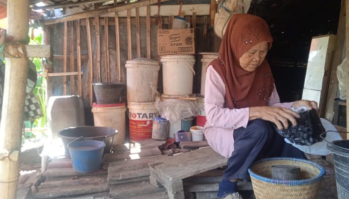 Pahlawan Pangan Yang Terlupakan, Petani Nasibmu Kini di HUT RI ke 79