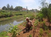 Warga Pemeungpeuk Manfaatkan Tepian Sungai Untuk Bercocok Tanam, Ada Resiko Mengancam Sewaktu-Waktu !!