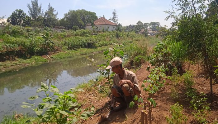 Warga Pemeungpeuk Manfaatkan Tepian Sungai Untuk Bercocok Tanam, Ada Resiko Mengancam Sewaktu-Waktu !!