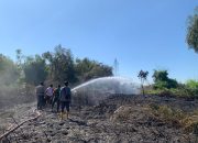 Sinergitas TNI dan Polri Bersama Warga Bantu Padamkan Kebakaran Lahan di Mojokerto