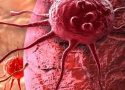 Akiko Kojima-Yuasa Ilmuwan Asal Jepang Temukan Senyawa Anti Kanker