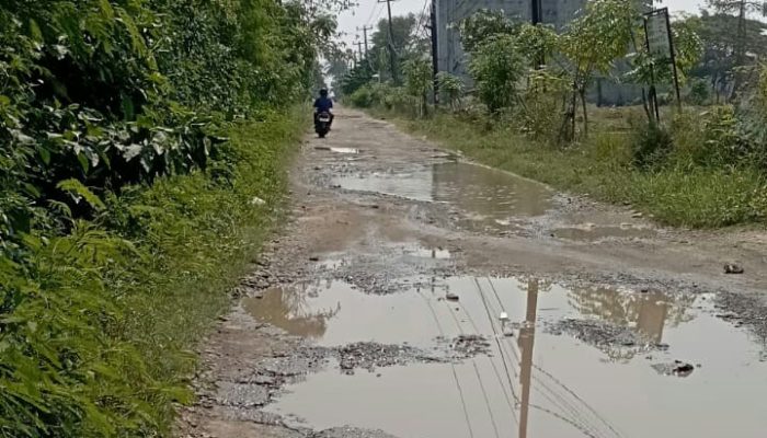 Warga Panderesan Berharap Pemerintah Daerah Segera Perbaiki Jalan Rusak Hingga Ganggu Aktivitas