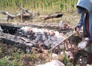Diduga Proyek P3-TGAI Desa Saronggi Dikerjakan tidak Sesuai Spek dan Asal-Asalan