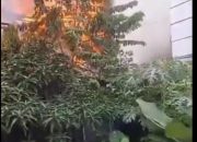 Api Lalap Salah Satu Rumah Makan Yang Berada Di Jalan  Riau Bandung