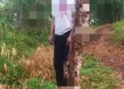 Geger Mayat Pria Ditemukan Tergantung di Sebuah Pohon