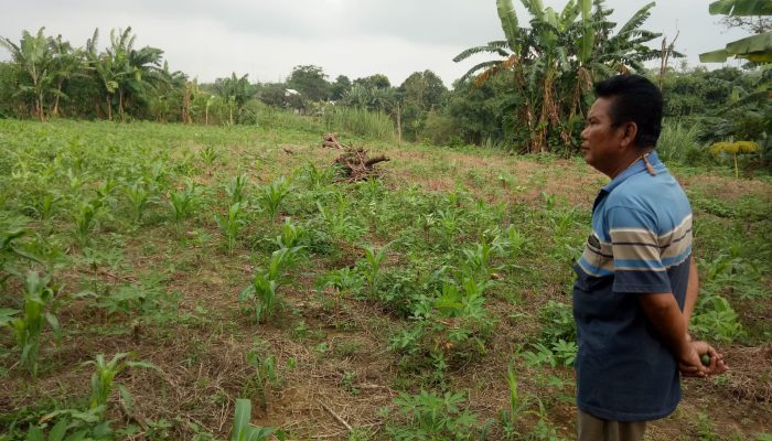 Diduga Ribuan Meter Tanah Bantaran Kali Cibeet Dijual Belikan Kepada Perusahaan di Desa Labansari