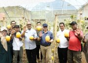 Kunjungi Monev Ketersediaan Benih, Kadistanhorti Jabar: Benih Unggul Kunci Keberhasilan Produksi Hortikultura Keberlanjutan