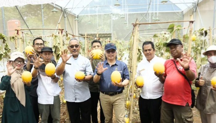 Kunjungi Monev Ketersediaan Benih, Kadistanhorti Jabar: Benih Unggul Kunci Keberhasilan Produksi Hortikultura Keberlanjutan