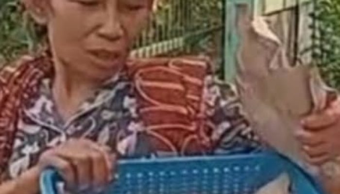 PILU !! Diduga Lahannya Diserobot Oknum Kades, Mak Entin Penjual Kue Gendong Cari Keadilan