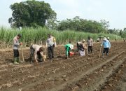Polresta Malang Kota Dukung Program Asta Cita Kampanyekan Swasembada Pangan Nasional