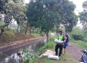 Polisi Bersama Perangkat Desa Tebar 10.000 Bibit Ikan di Bondowoso,Wujudkan Ketahanan Pangan