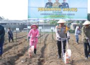 Wujudkan Ketahanan Pangan Mandiri, Polres Blitar Kota Bersama Masyarakat Tanam Jagung di Lahan Aset Polri