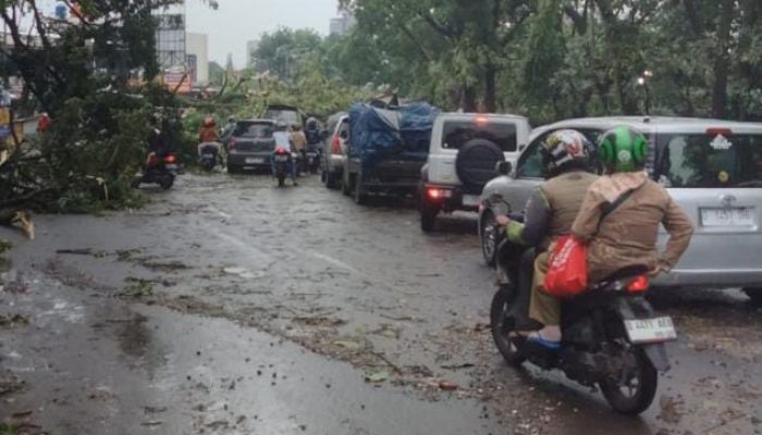 Kota Cimahi di Terjang Hujan Es Dan Angin Kencang Pohon Tumbang Dan Banjir