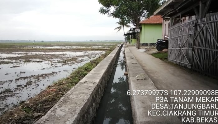 Warga Tani Desa Tanjungbaru Apresiasi Program P3-TGAI Bantuan Kementan RI