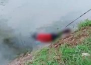 Mayat Laki-Laki Tanpa Identitas Mengambang di Kalimalang