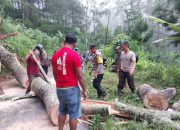 Sigap, Polisi bersama Warga Tangani Longsor di Ponorogo, Jalur Ngrayun-Jajar Kembali Lancar